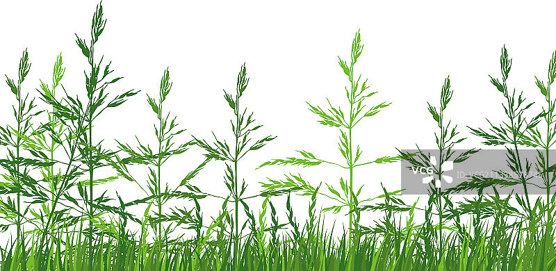 绿色草地图片素材