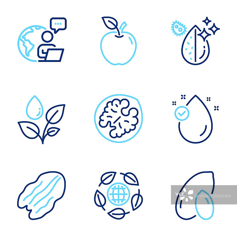 包含生态有机元素的自然图标合集图片素材