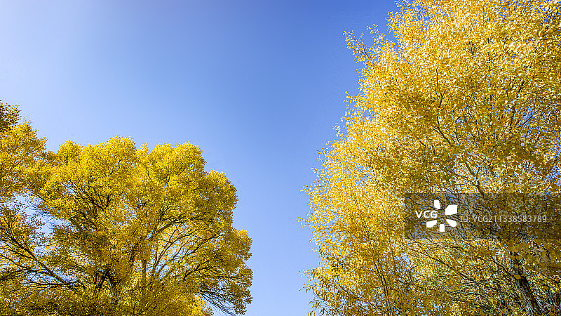 塔克拉玛干沙漠图片素材