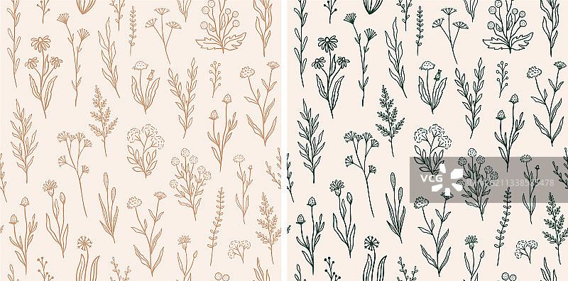 带轮廓的野花无缝图案套装图片素材