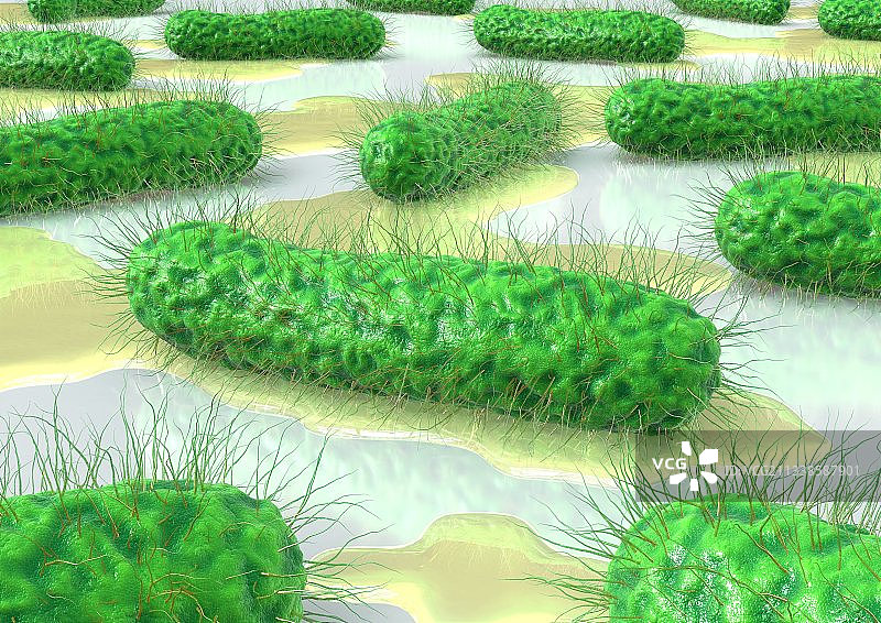 泌尿道感染概念艺术图片素材