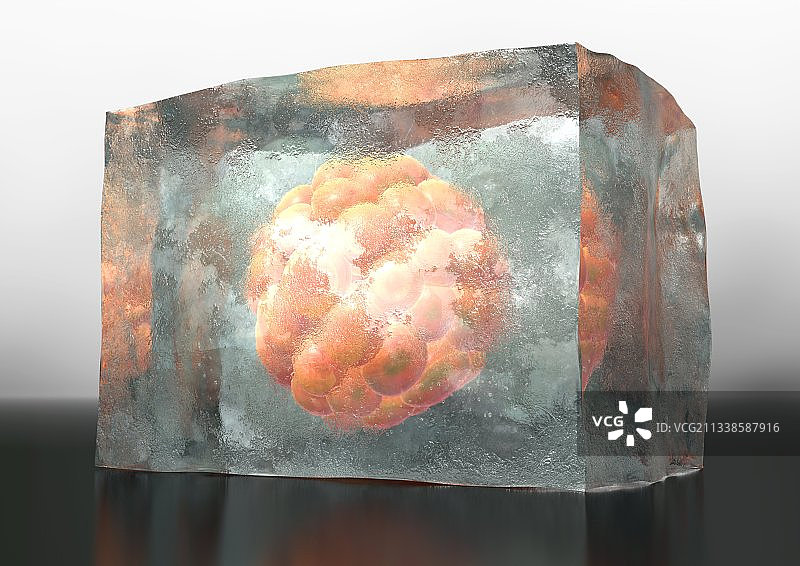 冷冻胚胎艺术图图片素材