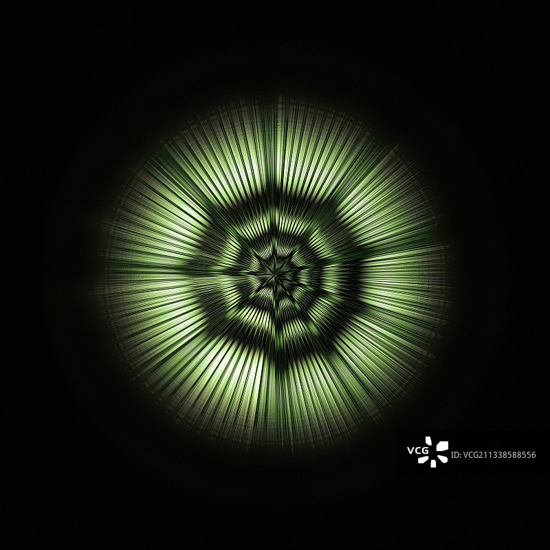 髯海豹的声音，波形图图片素材