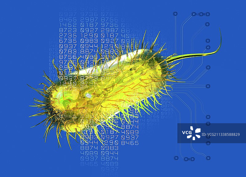 细菌计算概念艺术作品图片素材