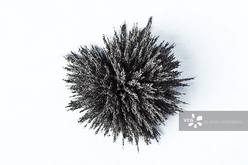 磁化的铁屑图片素材