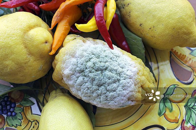 柠檬上的霉菌图片素材