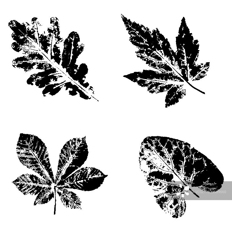 黑色水墨树叶印花图案图片素材