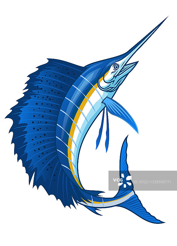 带有大鳍的大西洋旗鱼图片素材