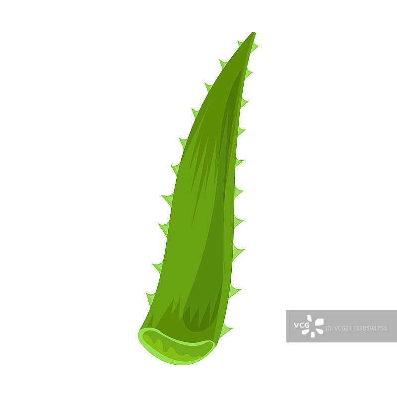 芦荟卡通图标图片素材