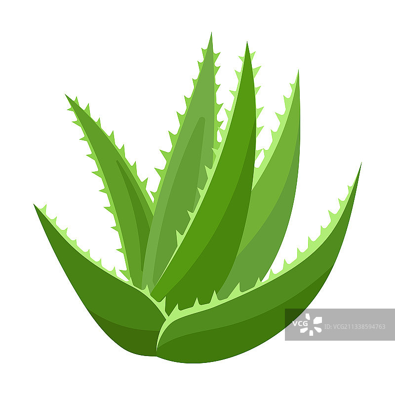 芦荟卡通图标图片素材