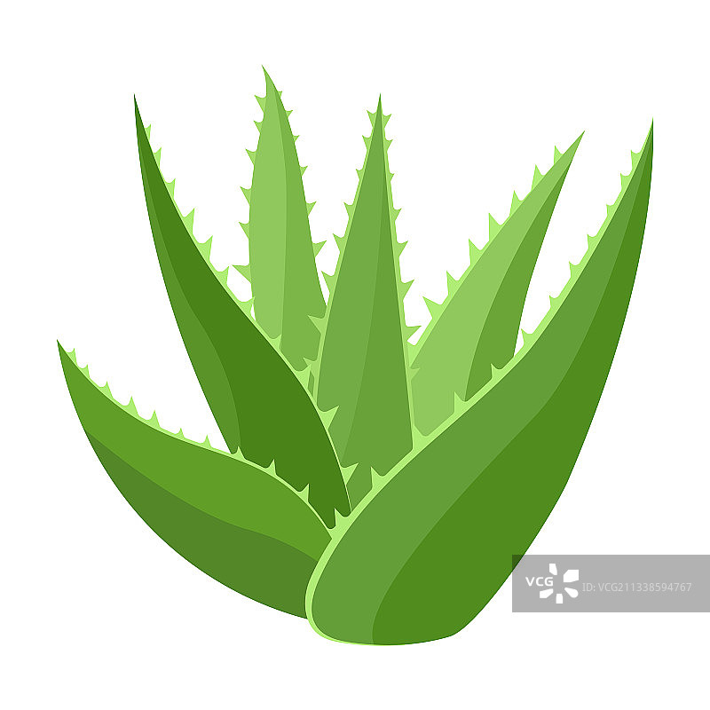 芦荟卡通图标图片素材