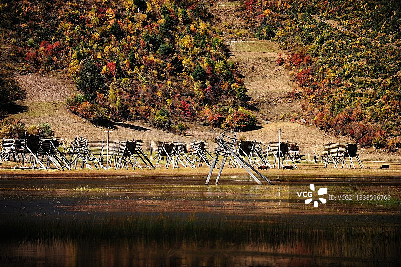 云南，迪庆，纳帕海风景图片素材