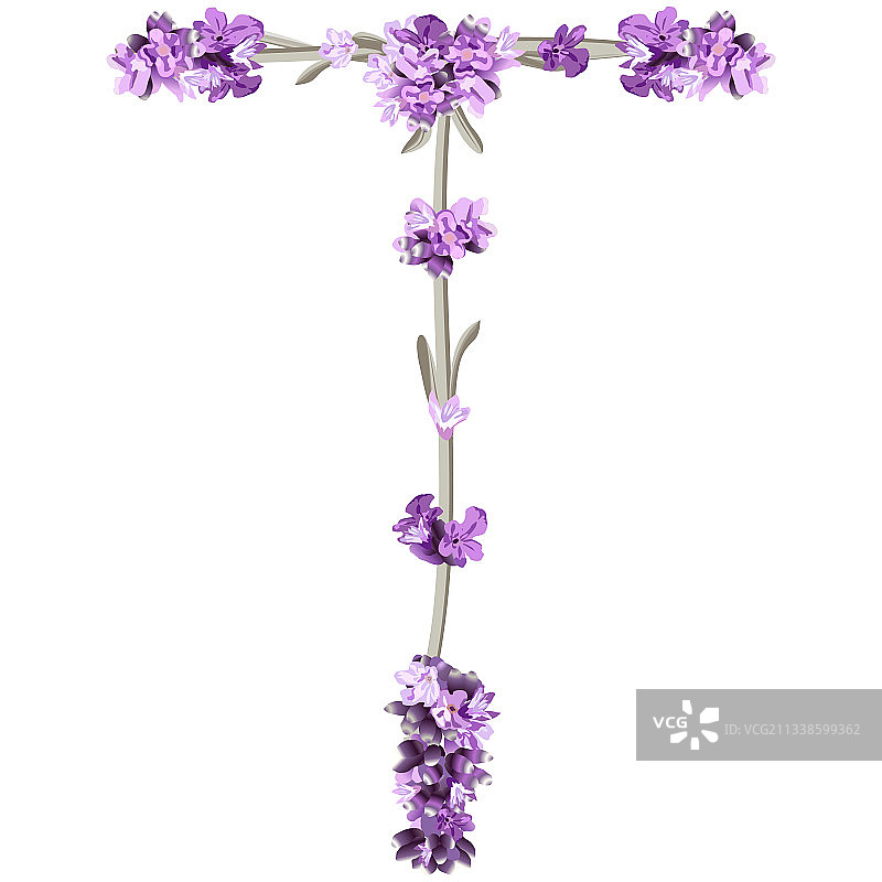 英文字母T图像图片素材