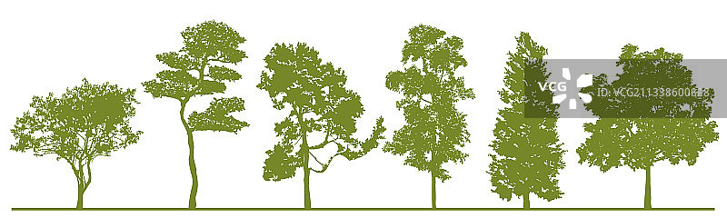 精细绿色树木剪影合集图片素材