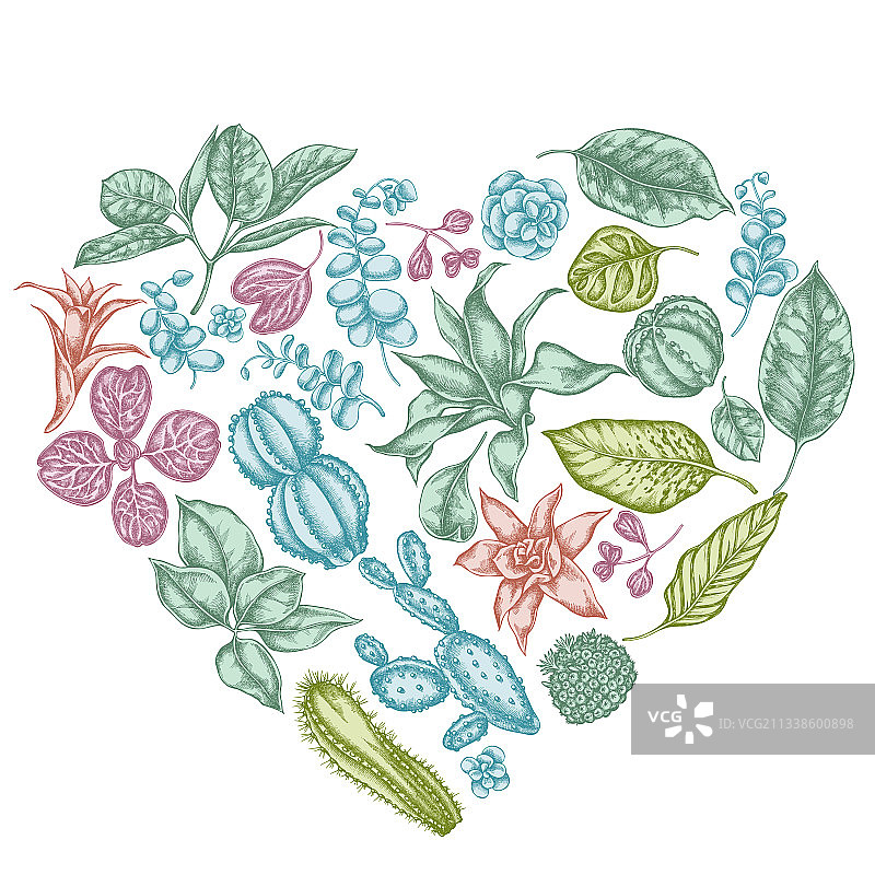 带有粉彩榕树的爱西尼的心形花卉设计图片素材