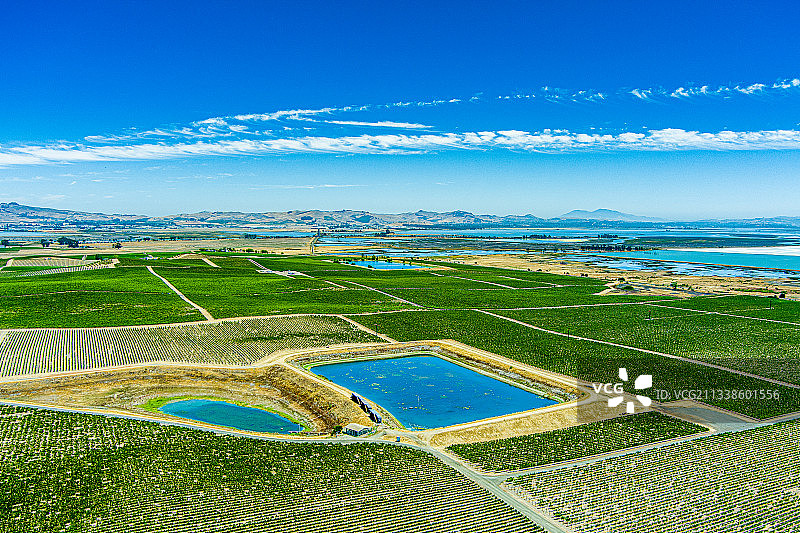 加利福尼亚州纳帕县葡萄园航拍：干旱、灌溉与储水罐图片素材