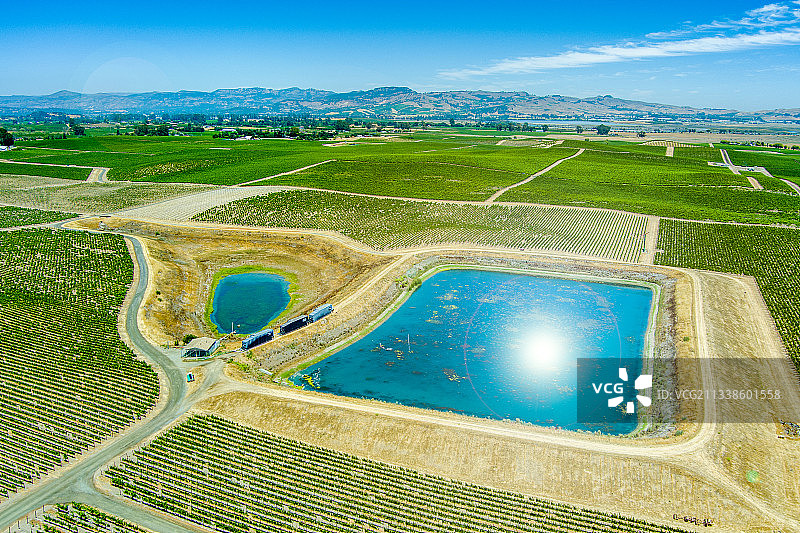 加利福尼亚州纳帕县葡萄园航拍：干旱、灌溉与储水罐图片素材
