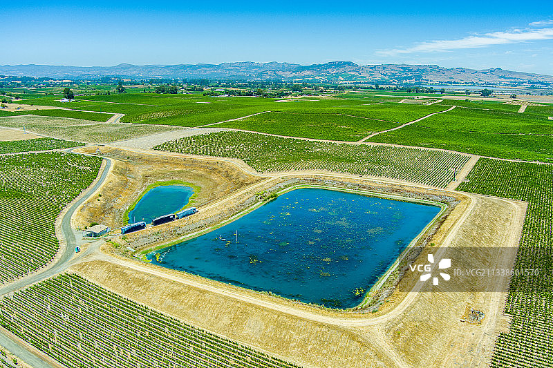 加利福尼亚州纳帕县葡萄园航拍：干旱、灌溉与储水罐图片素材