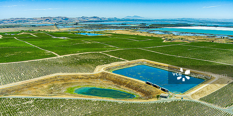 加利福尼亚州纳帕县葡萄园航拍：干旱、灌溉与储水罐图片素材