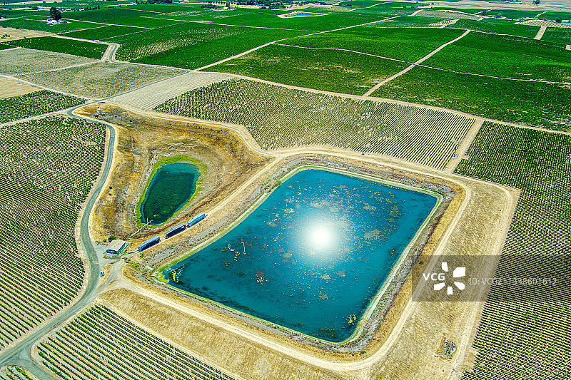 加利福尼亚州纳帕县葡萄园航拍：干旱、灌溉与储水罐图片素材