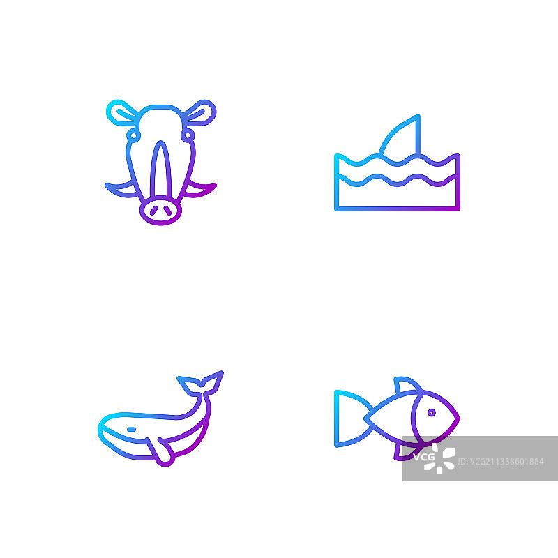 鱼、鲸鱼、野猪头和鱼翅图片素材