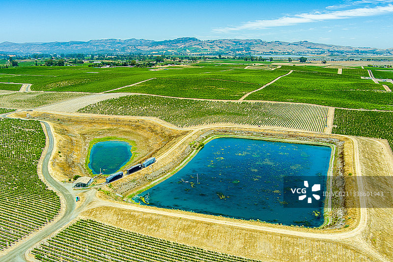 加利福尼亚州纳帕县葡萄园航拍：干旱、灌溉与储水罐图片素材