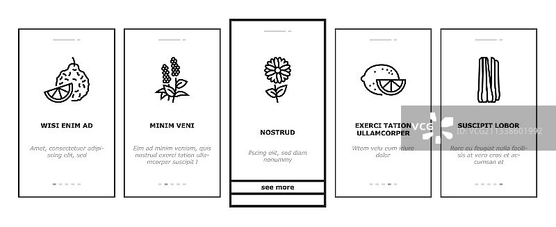 芳香草药入门图标集图片素材
