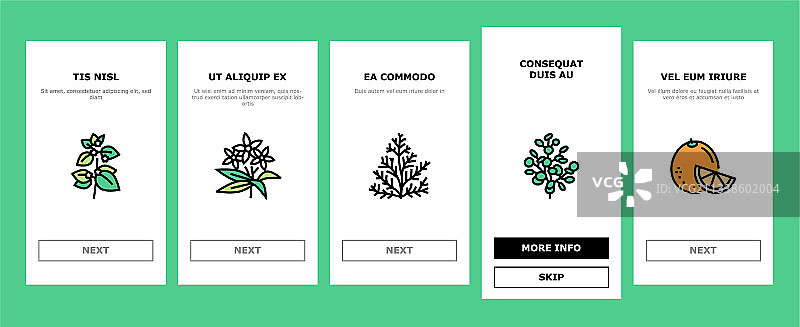 芳香草药入门图标集图片素材