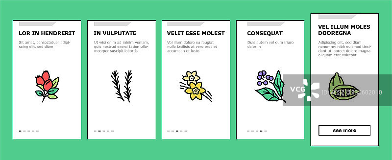 芳香草药入门图标集图片素材