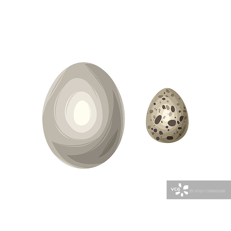 卡通风格的鸡肉和鹌鹑蛋图片素材