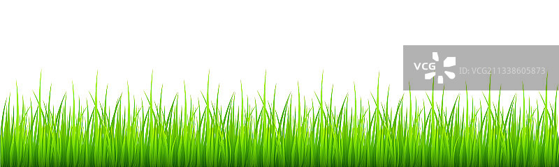 白色背景上的绿色草地边框图片素材