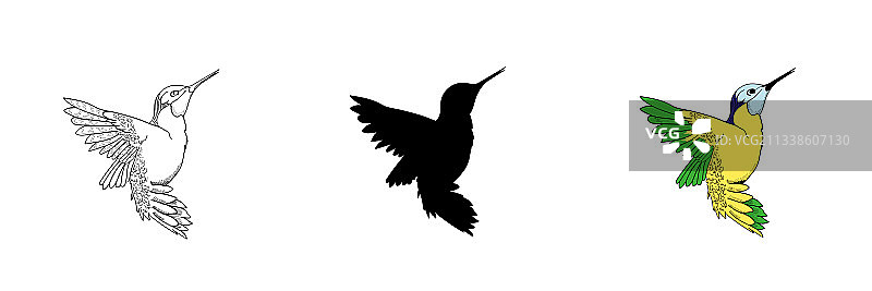 三种不同风格的蜂鸟图片素材