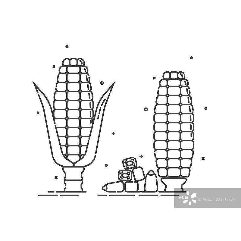 白色背景下的有机玉米图片素材