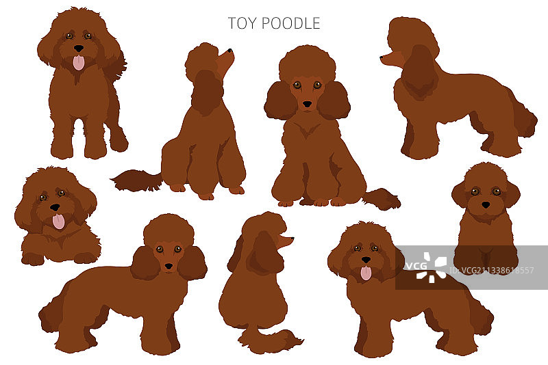 贵宾犬玩具剪贴画套装图片素材