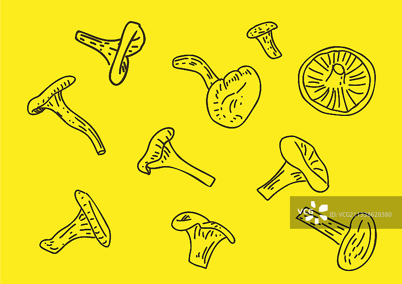 蘑菇产品图片素材