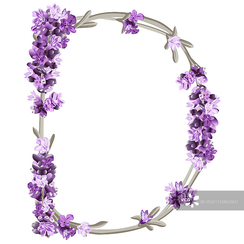 英文字母D图片素材