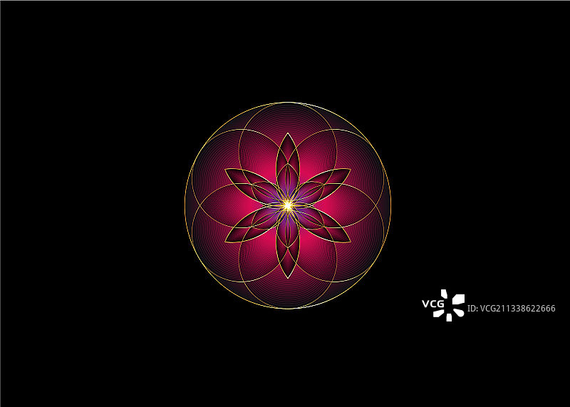 金色紫色生命之花图案图片素材