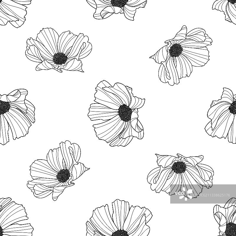 黑色花园波斯菊花朵重复图案图片素材