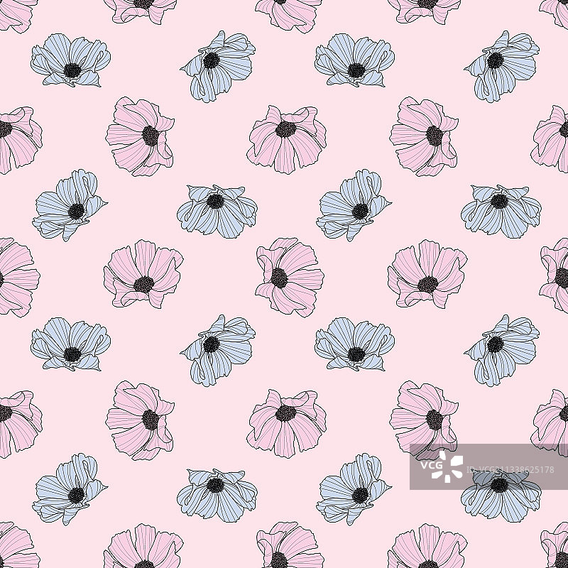 花园波斯菊花朵重复图案春季设计图片素材