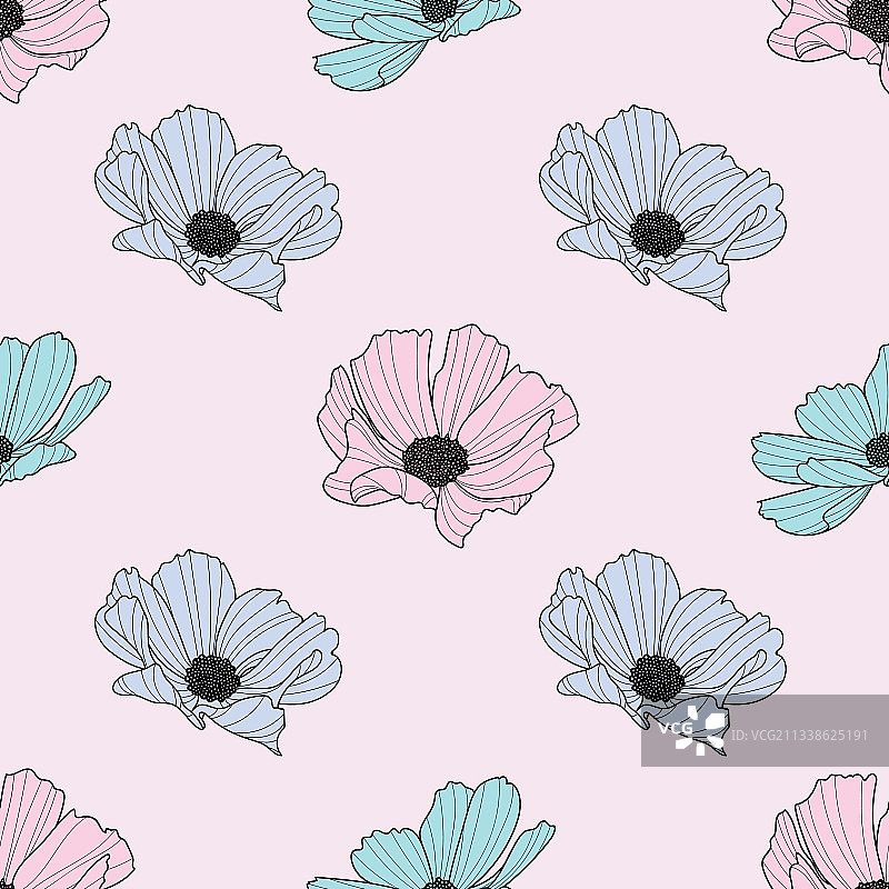 花园波斯菊花朵重复图案春季设计图片素材