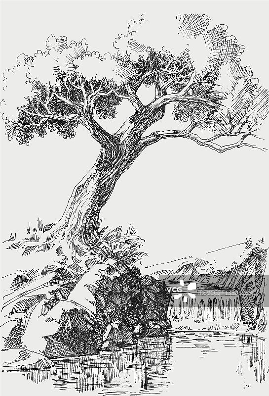 河岸树木风景绘画图片素材