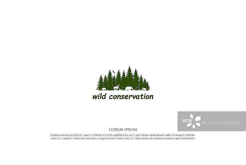 松树雪松针叶树落叶松铁杉柏树冷杉图片素材