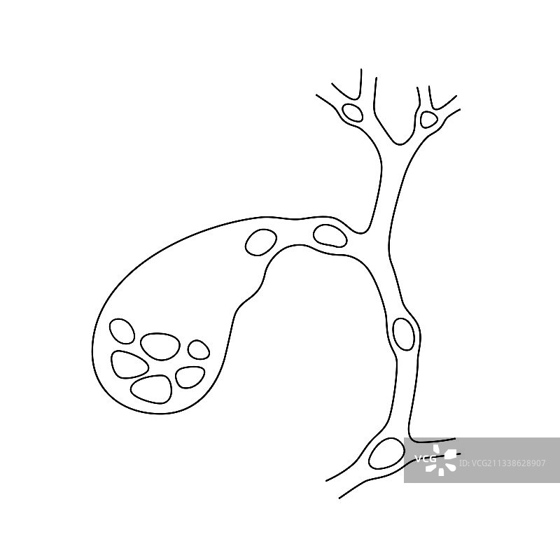 不同的位置石头图片素材