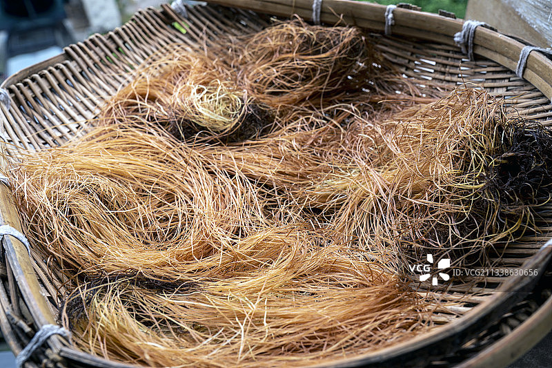 玉米胡须无论干燥还是新鲜的都是中药材图片素材