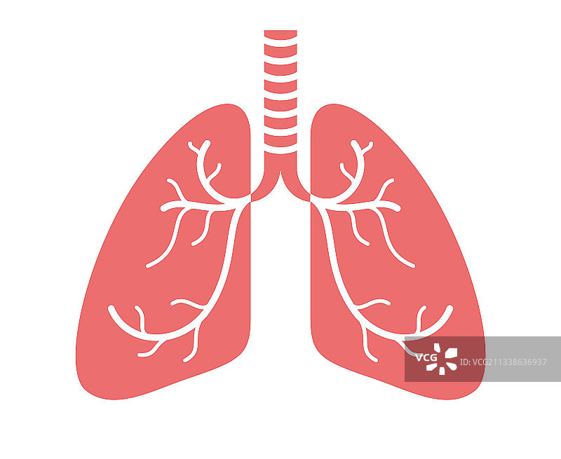 隔离的听诊器与肺部简易图标图片素材