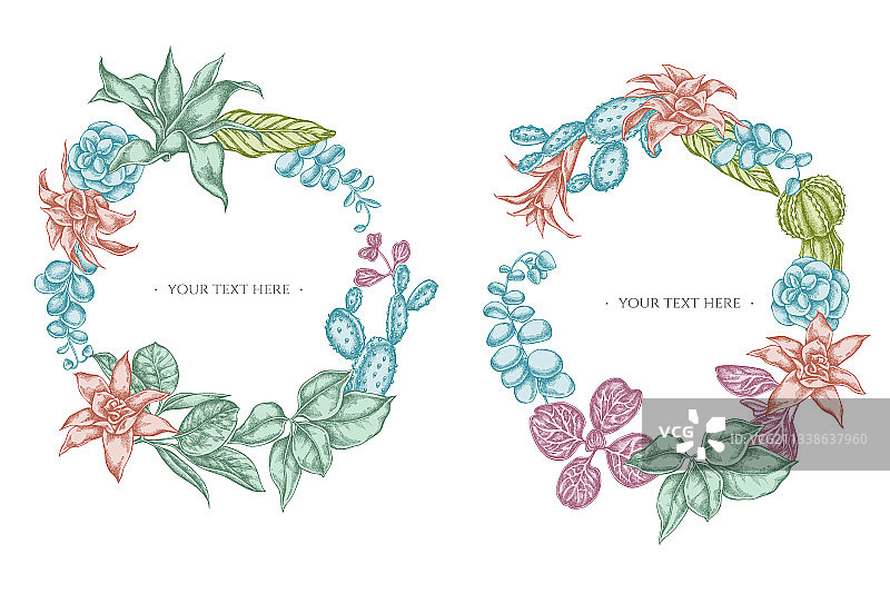 花环与粉彩榕树、红草、长寿花图片素材