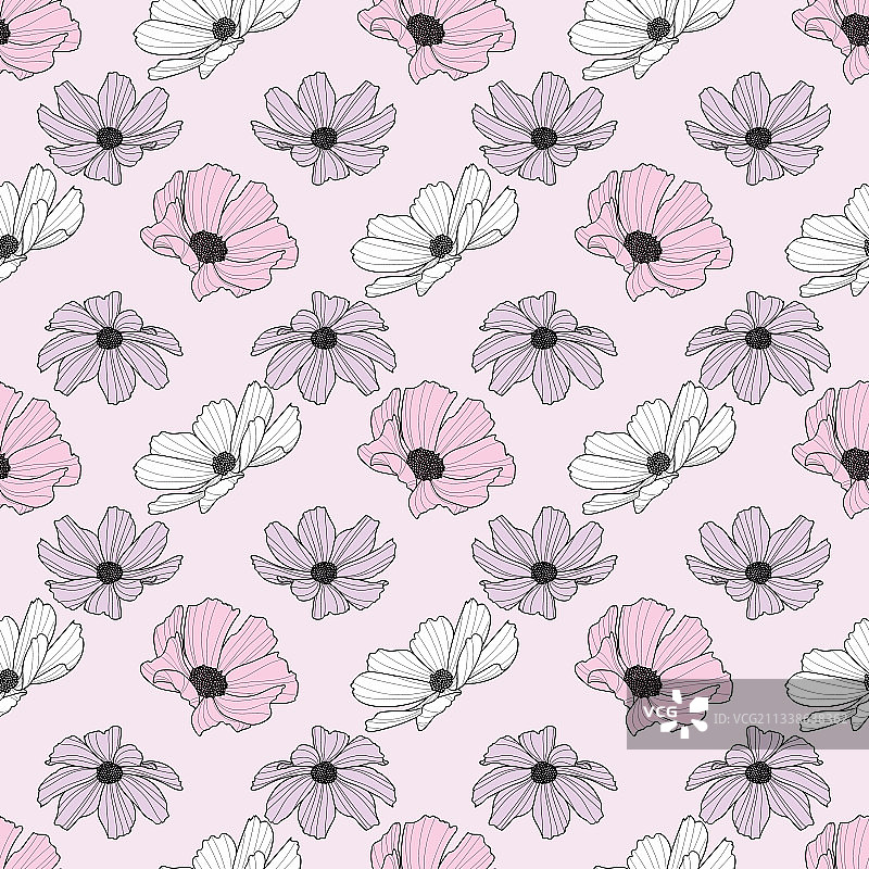 花园波斯菊花朵重复图案春季设计图片素材