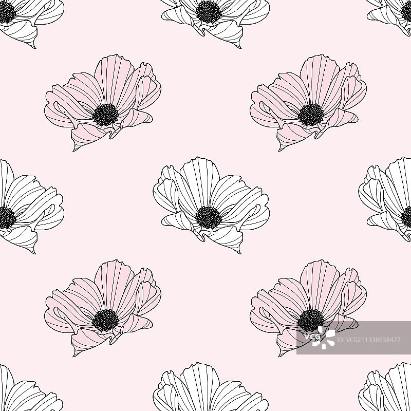 花园波斯菊花朵重复图案春季设计图片素材