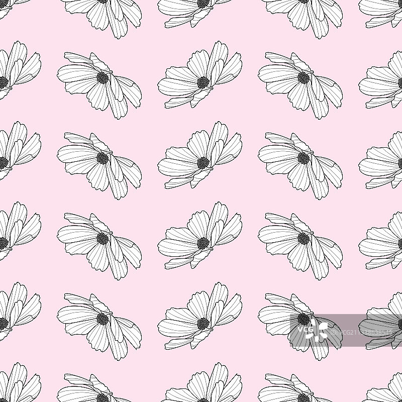 花园波斯菊花朵重复图案春季设计图片素材