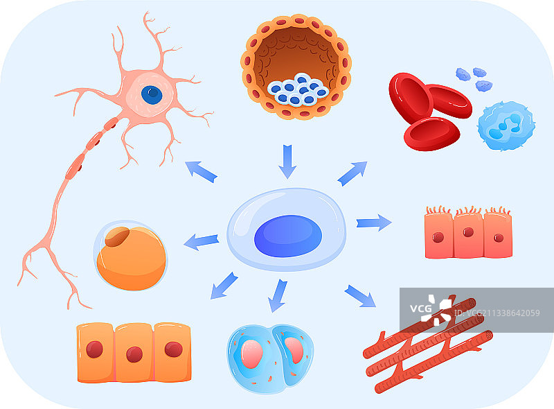 现代医学研究人体组织细胞图片素材